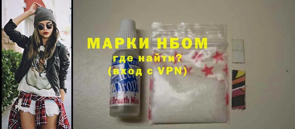 твердый Кулебаки