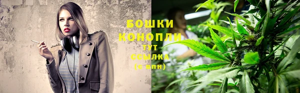 ГАЛЛЮЦИНОГЕННЫЕ ГРИБЫ Армянск